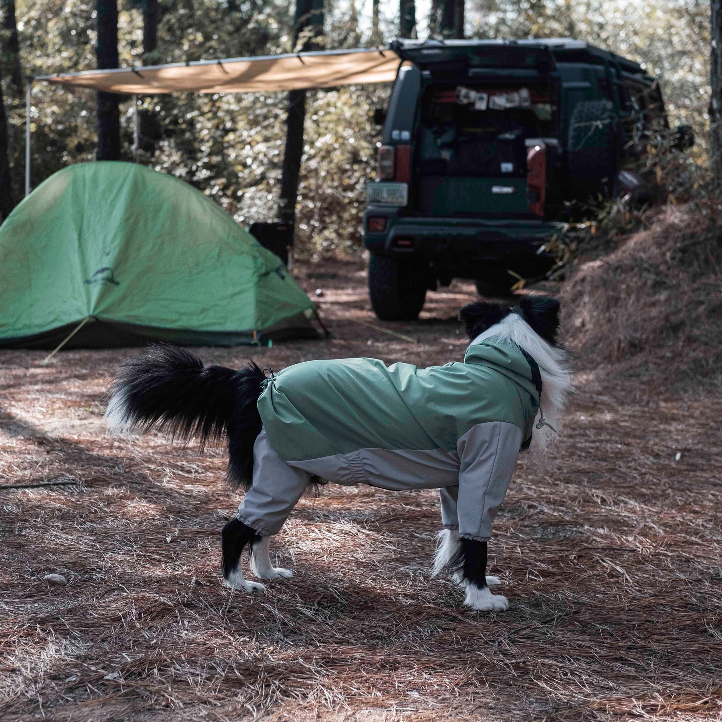Chaqueta impermeable para perros Havasu