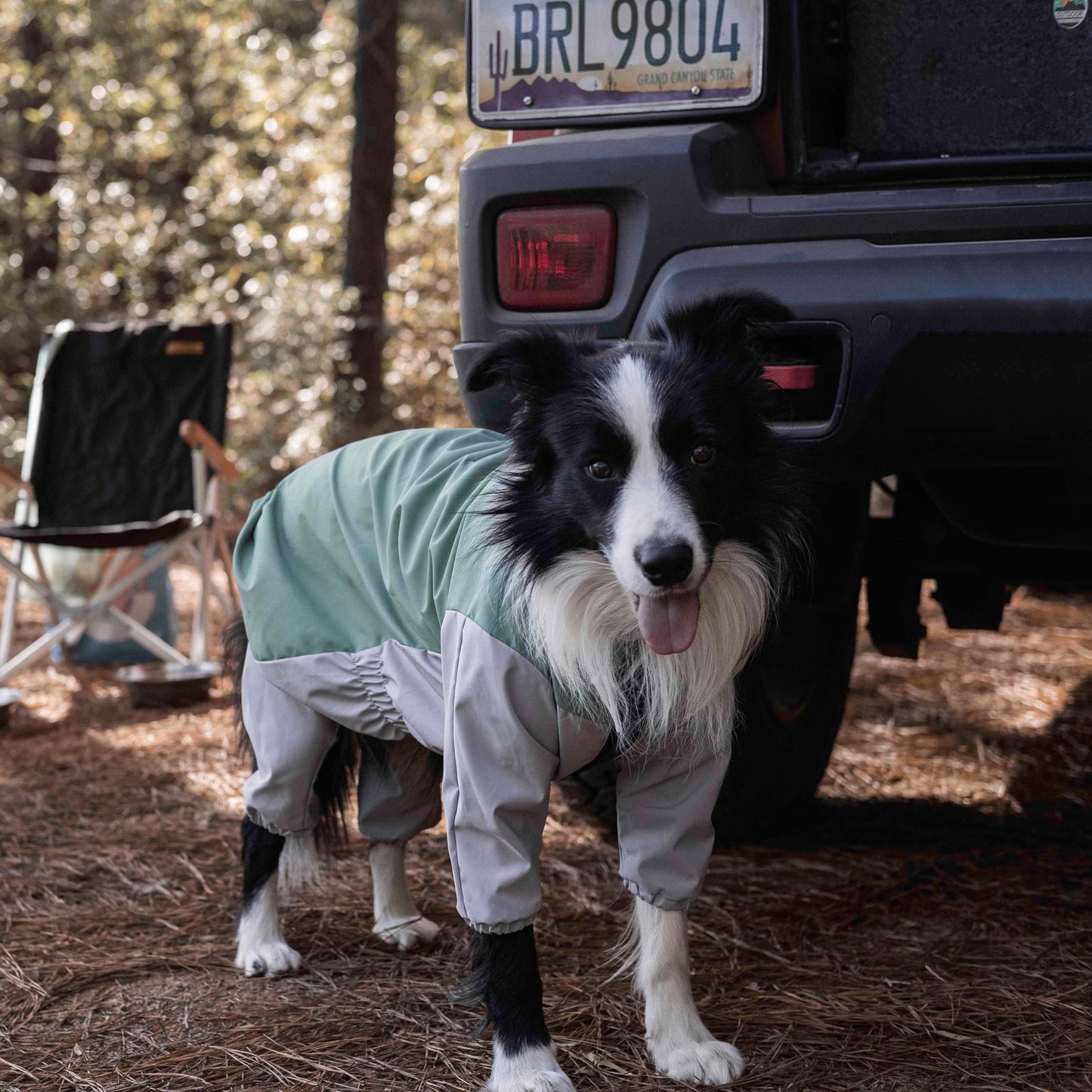 Havasu Dog Water-Repellent Jacket